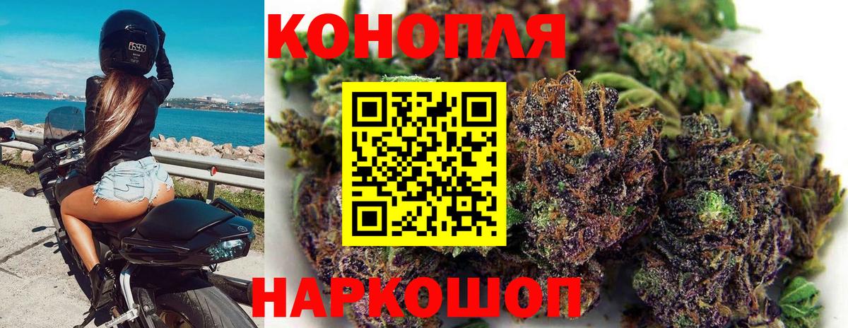 Бошки марихуана план Острогожск